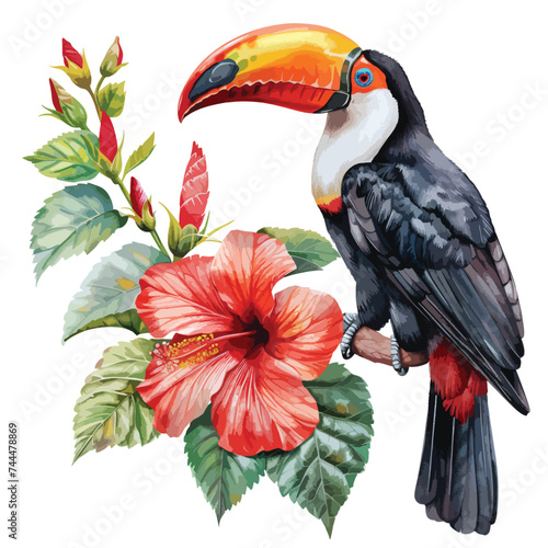 Toucan hibiscus watercolor isolated on white background