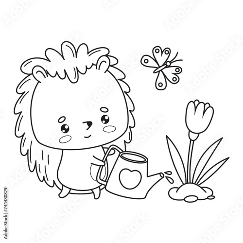 Cute hedgehog gardener with butterfly and garden watering can waters flower. Vector illustration. Animal outline kawaii character. Line drawing, coloring book. Kids collection.
