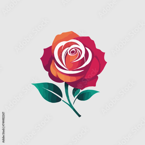 pink rose on a white background 