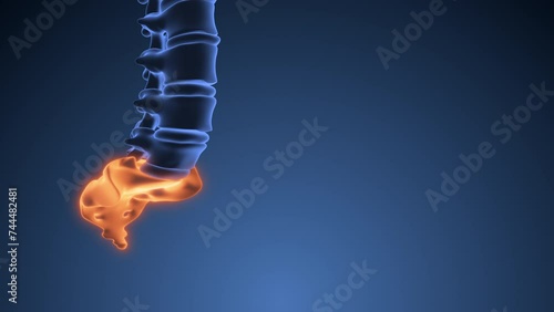 coccyx or sacrum medical animation