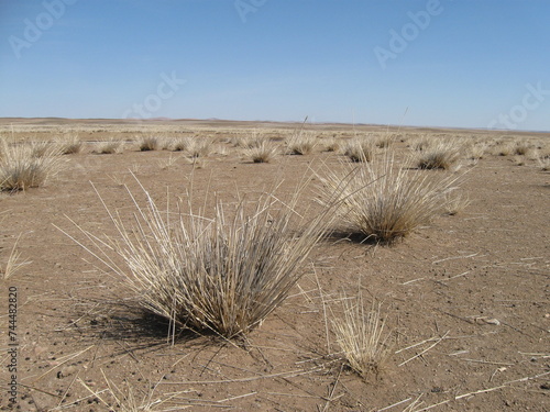 A lonely semi-desert region in Dornogovi province, Gobi desert, South Mongolia. The surrounding desert is so solitary and so windy. It is so cold in the long winter months. 