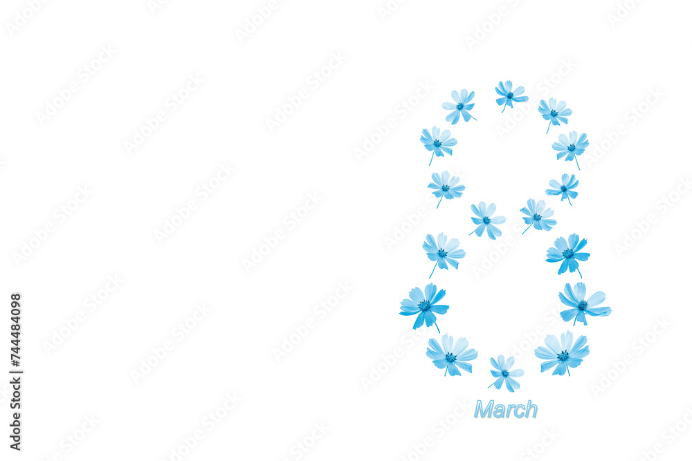 ?osmos flowers toned turquoise in the shape of the number 8 eight isolated on a white background. International Women's Day March 8th. Top view, copy space. Turquoise blue flowers for your design.