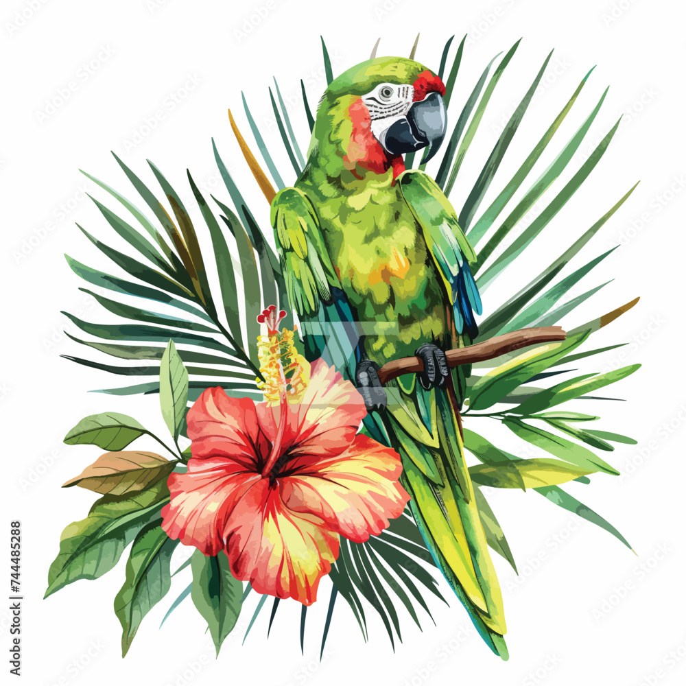 Watercolor drawing isolated green parrot