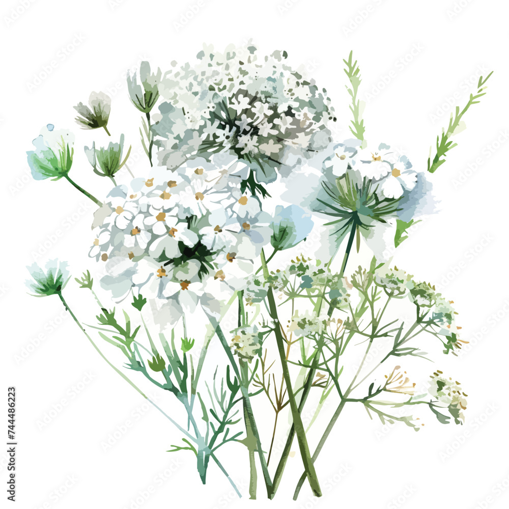 Watercolor flower bouquet white flowers