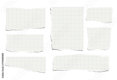 Set of torn pieces of checkered paper isolated on a white background. Paper collage. photo
