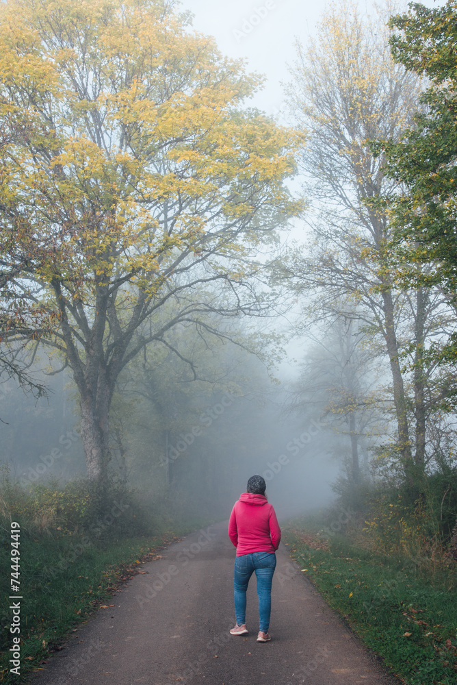 Randonnée dans le brouillard en automne. Balade sur une route en automne. Ambiance automnale. Femme en rose marchant dans la campagne