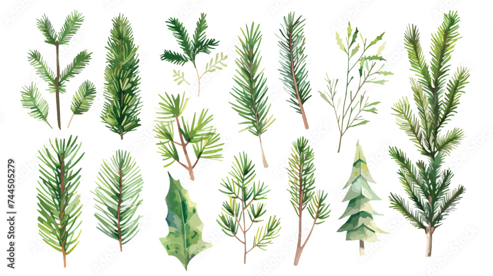 Spruce pine branch illustration vector - obrazy, fototapety, plakaty 