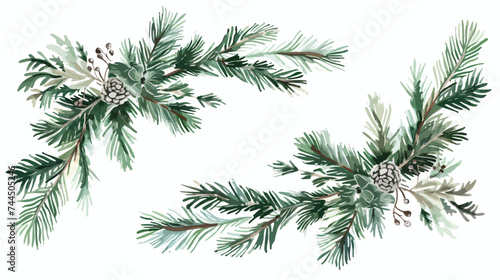 Spruce pine branch illustration vector