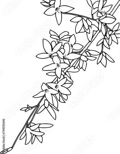 Wallpaper Mural Botanical illustration forsythia flower branch. Hand drawn flower illustration. Torontodigital.ca