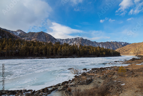 Fototapeta Naklejka Na Ścianę i Meble -  Russia, Gorny Altai. The frozen Katun River, mountains and taiga along the river bank