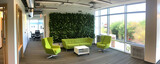  A green living wall inside a corporate office, blending nature with modern interior design. 