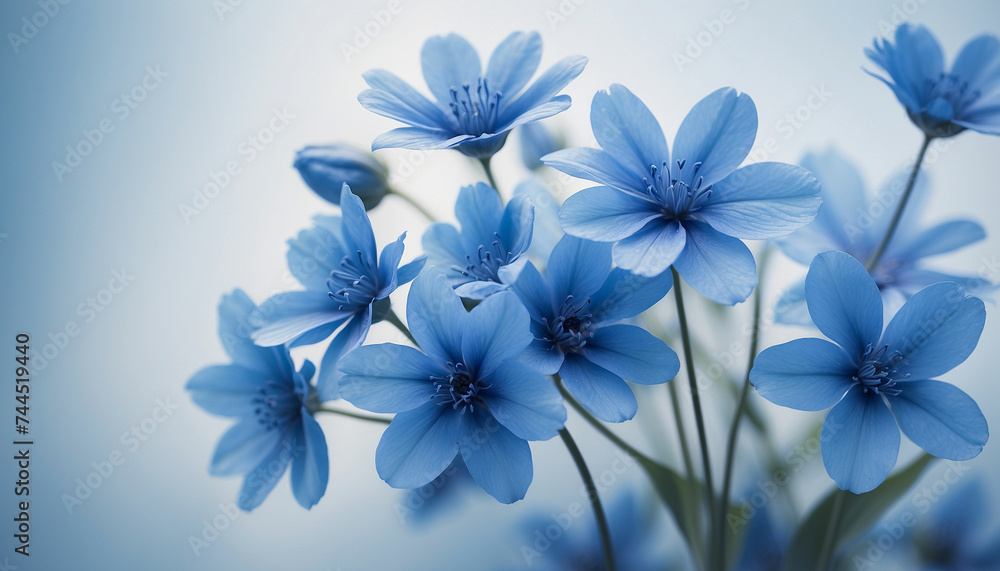 A bunch of blue flowers set against a soft textured background in varying shades of blue and the play of light and shadow creates an abstract design imbuing the image with a sense of mystery and calmn A bunch of blue flowers set against a soft textured background in varying shades of blue and the play of light and shadow creates an abstract design imbuing the image with a sense of mystery and calmn