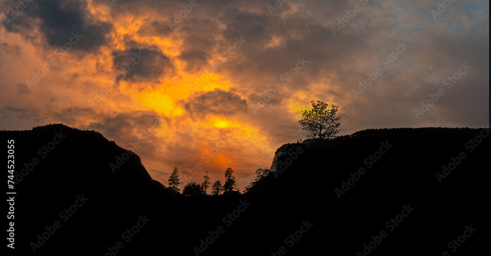 Obraz premium Zion National Park