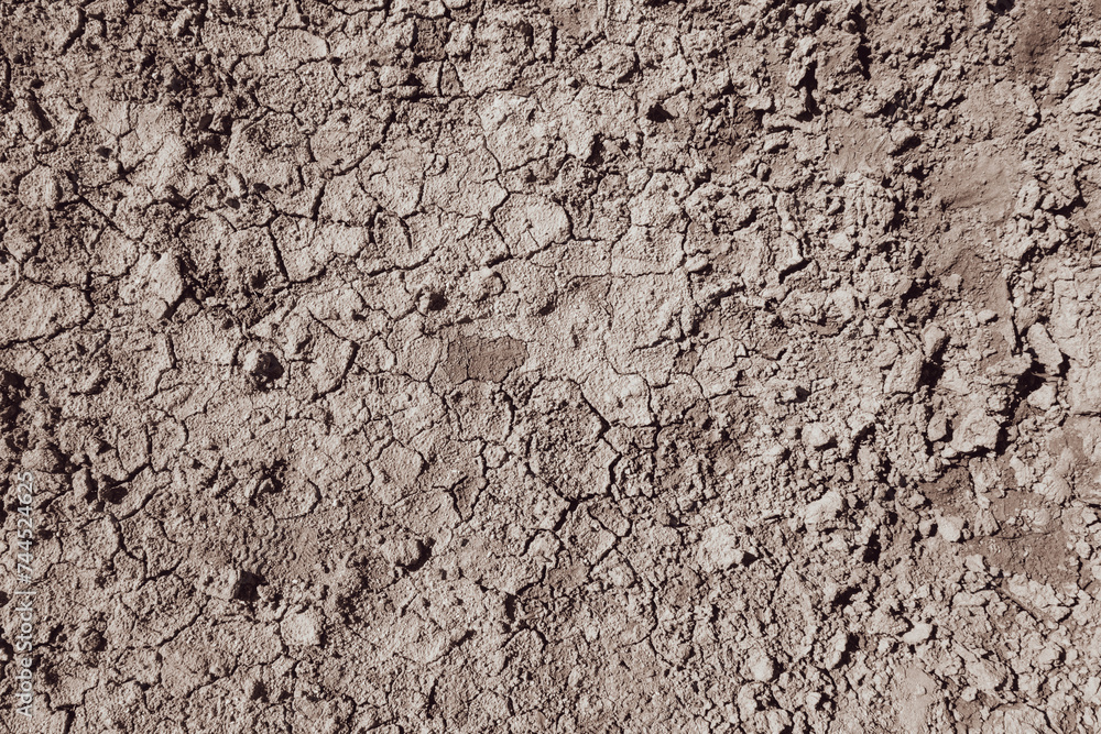 Dry Cracked Mud Close-Up