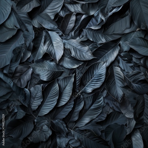 Organic background, minimal tropical leaves flower. Dark green, nature. © dejanskipina