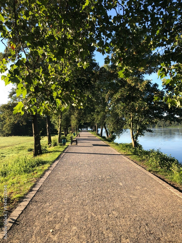 footpath in the park