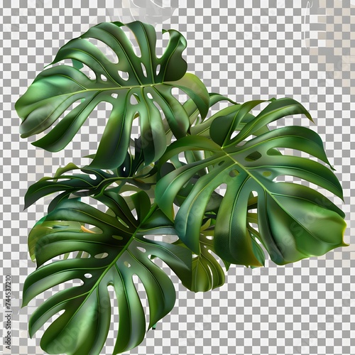 Isolated green leaves surrounded by white background with a touch of freshness, representing nature's vibrant foliage in spring