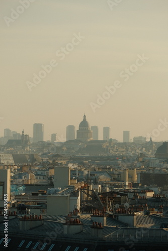 Les toits de Paris avec la vue sur le Panthéon