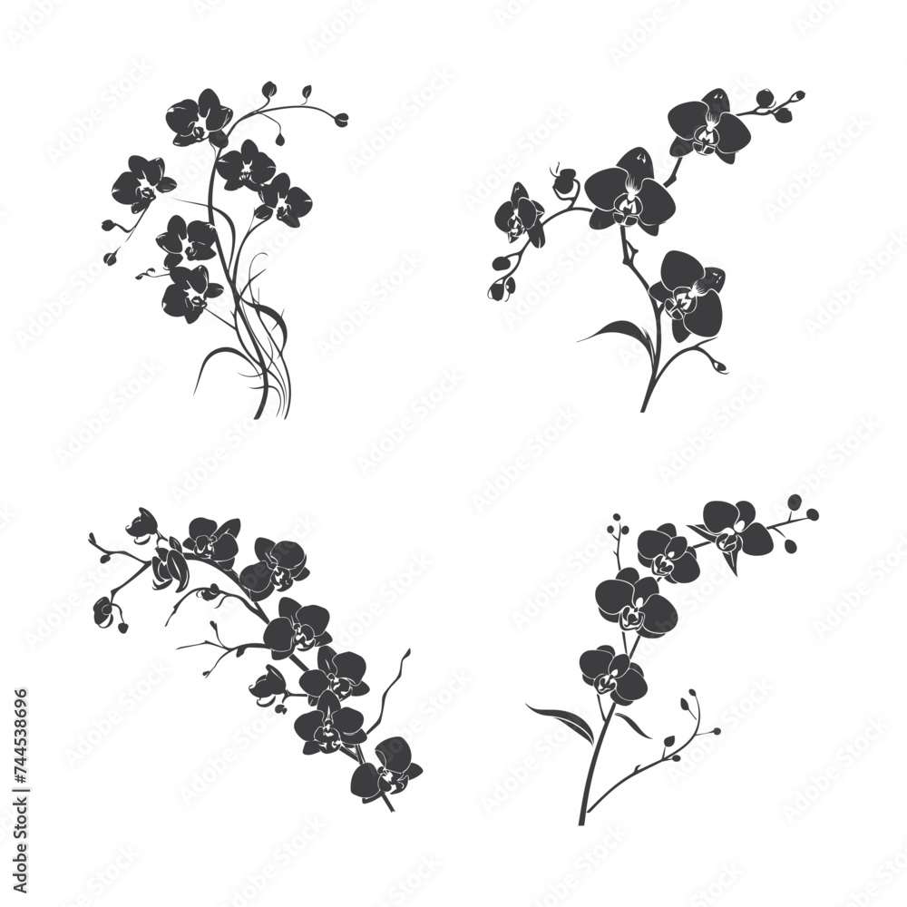 Naklejka premium Black orchid flowers. Vector illustration.