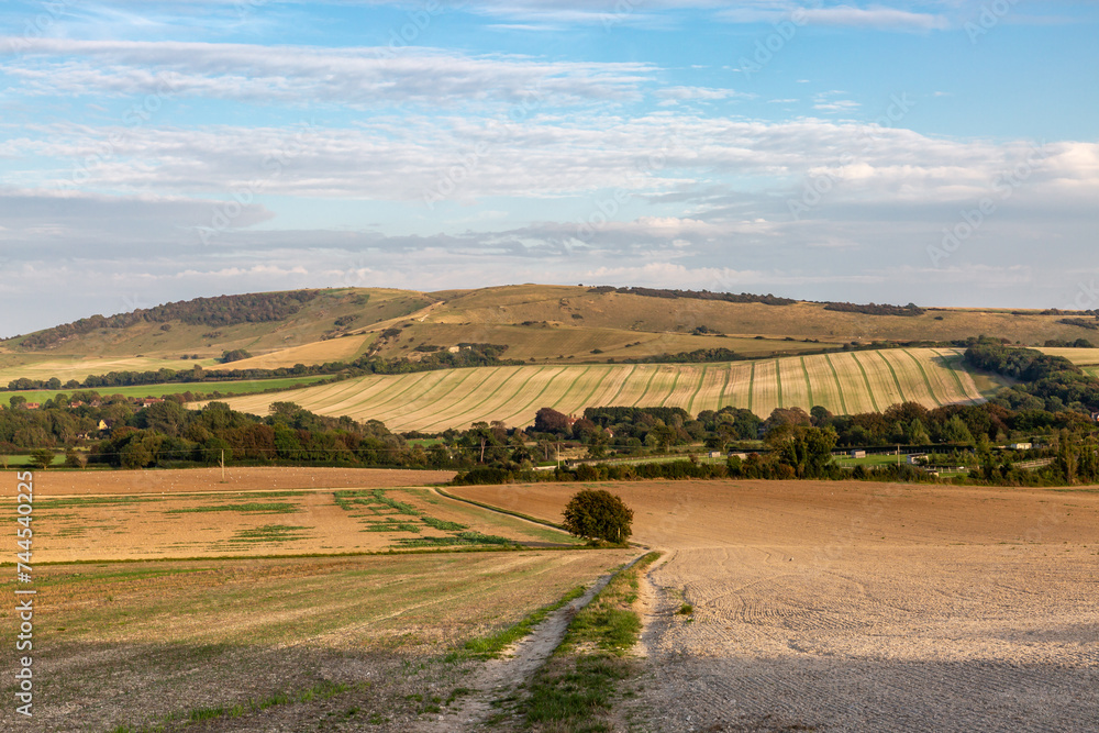 Looking along a pathway through farmland in the South Downs, on a sunny September evening