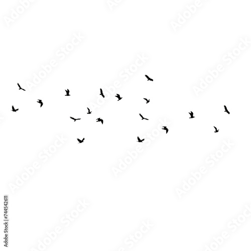flock of birds © Heruna