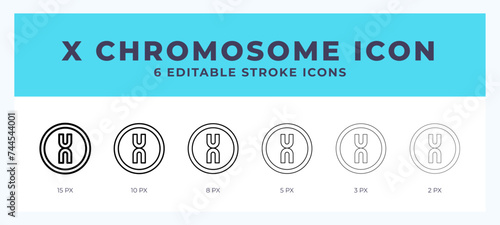 X chromosome line icon. Thin line. Bold line. Vector illustration.