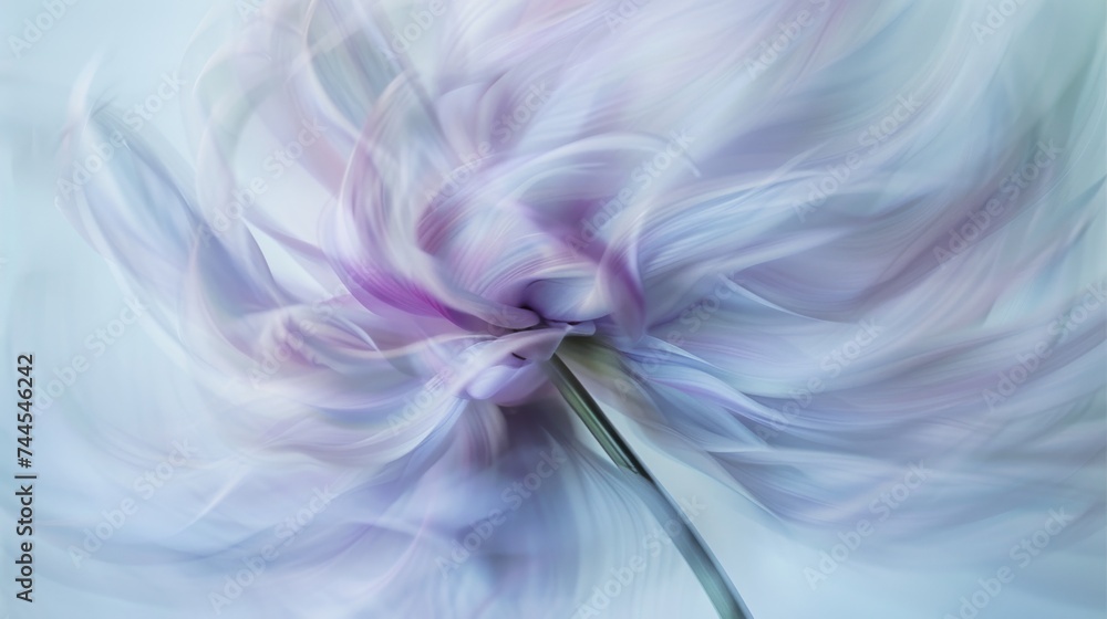 Abstract still life, a flower in movement
