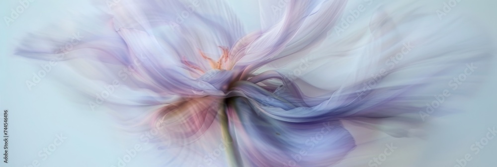 Abstract still life, a flower in movement