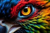 Close-up of a colorful parrot's eye, with the bird's multicolored feathers filling the frame