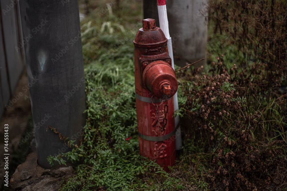 wooden totem pole