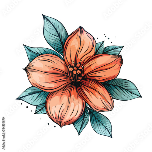 Hand draw of flower. Vector illustration on a white