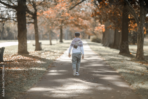 Fall. child walking away into the golden trees alley. Foliage with background of autumn trees landscape. maple leaves. © Maria