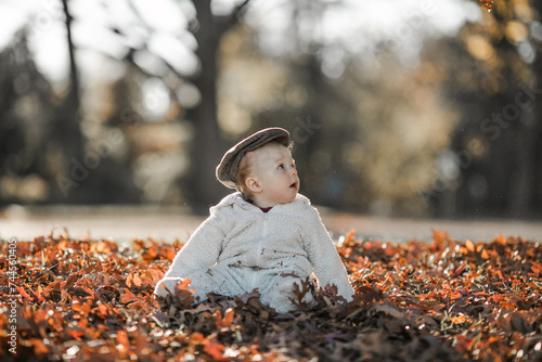 Baby boy  play in autumn park. Children throwing yellow leaves.Baby with oak and maple leaf. Fall foliage.
