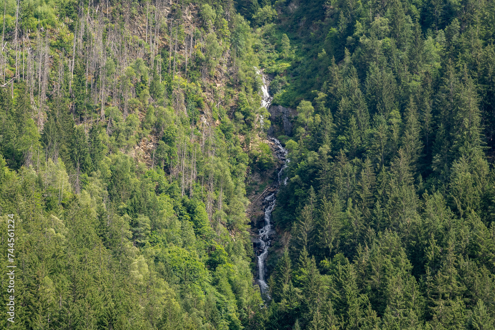 Obraz premium Waterfall in the woods of the Mont Blanc massif in summer, Chamonix, Haute Savoie, Auvergne Rhone Alpes, France