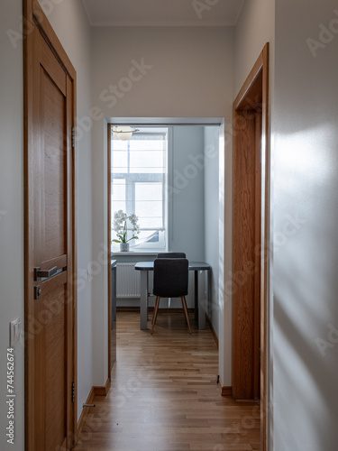 Hall in the modern flat.