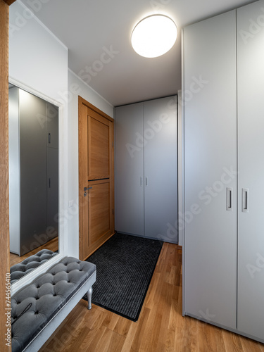 Hall in the modern flat.