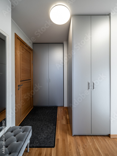 Hall in the modern flat.