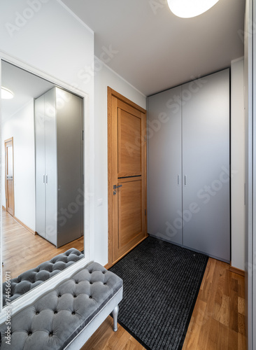 Hall in the modern flat.