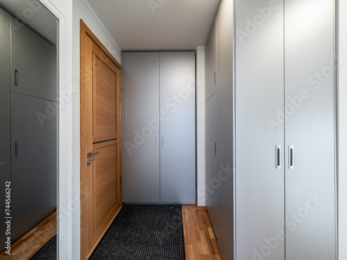 Hall in the modern flat.