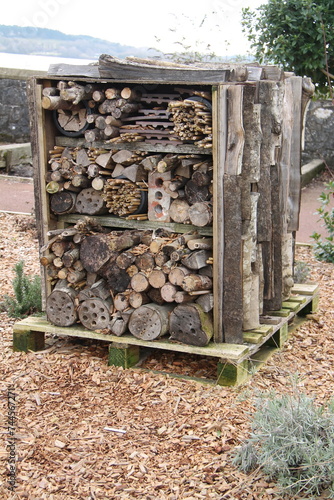 A Large Constructed Outdoor Animal and Bug House.