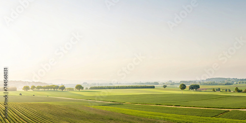 Morning Landscape with Fields and Blue Sky, Featuring Green Grass, Trees, and Clouds on a Sunny Day
