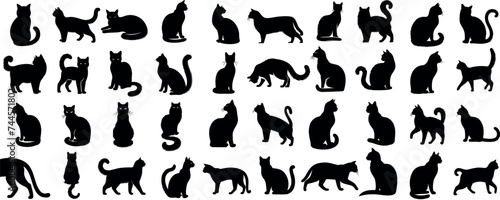 Silhouettes de chat  diverses poses  parfaites pour la conception de logos  mascotte de marque  contenu li   aux animaux de compagnie. Illustration vectorielle polyvalente  style moderne et   l  gant