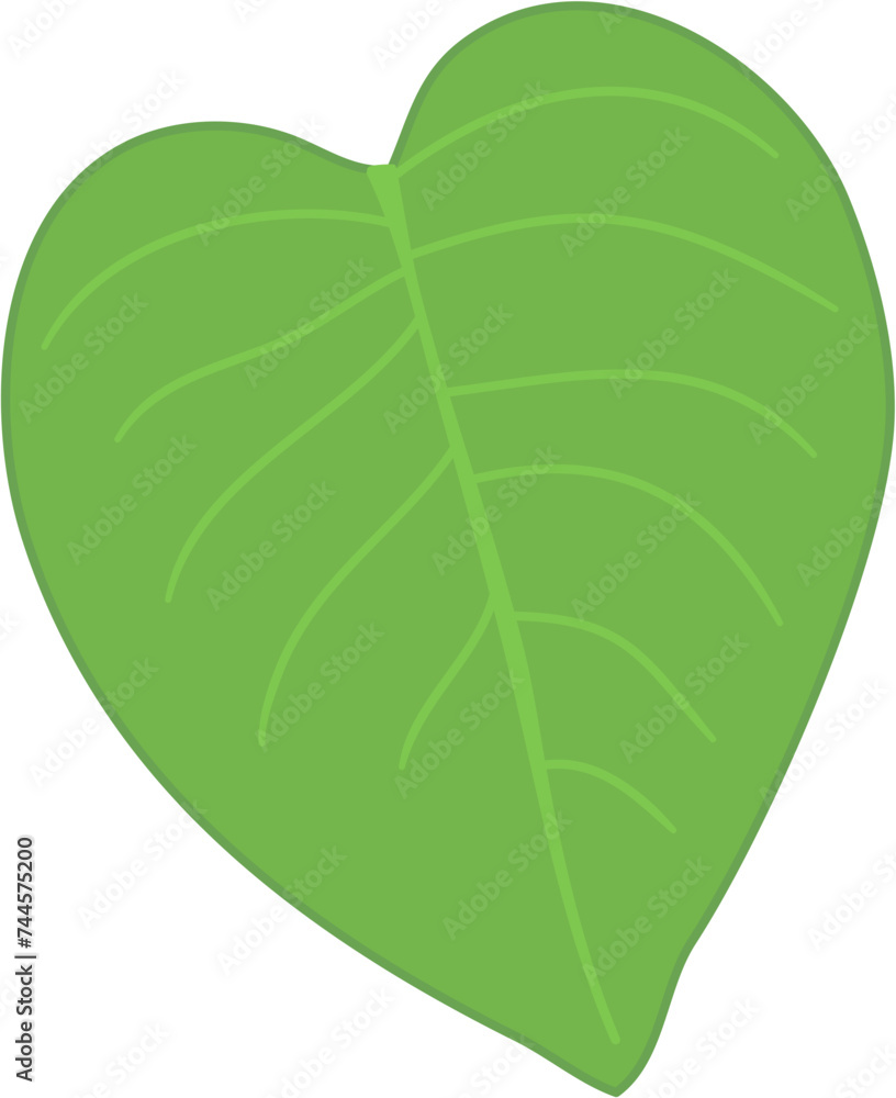 leaf clipart