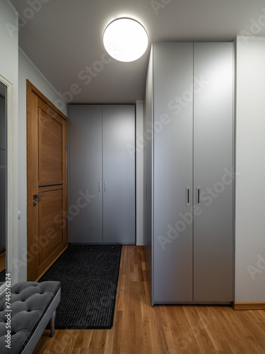 Hall in the modern flat.