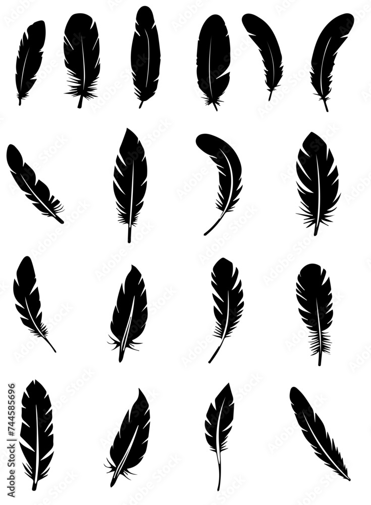Feather vector transparent background PNG clipart Feather vector transparent background PNG clipart