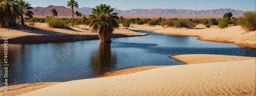 Desert oasis with palm trees, sand dunes, and a tranquil waterhole. Perfect for travel and adventure blogs.