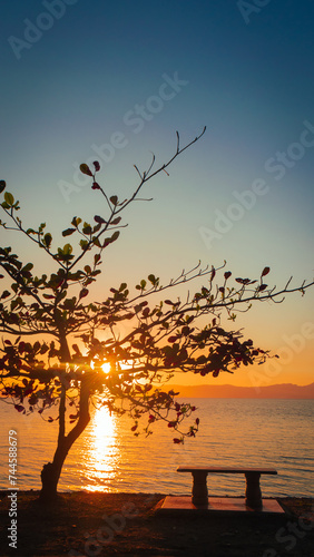 Solitary bench beside a tree by the sea at sunset. Portrait. Romblon, Philippines