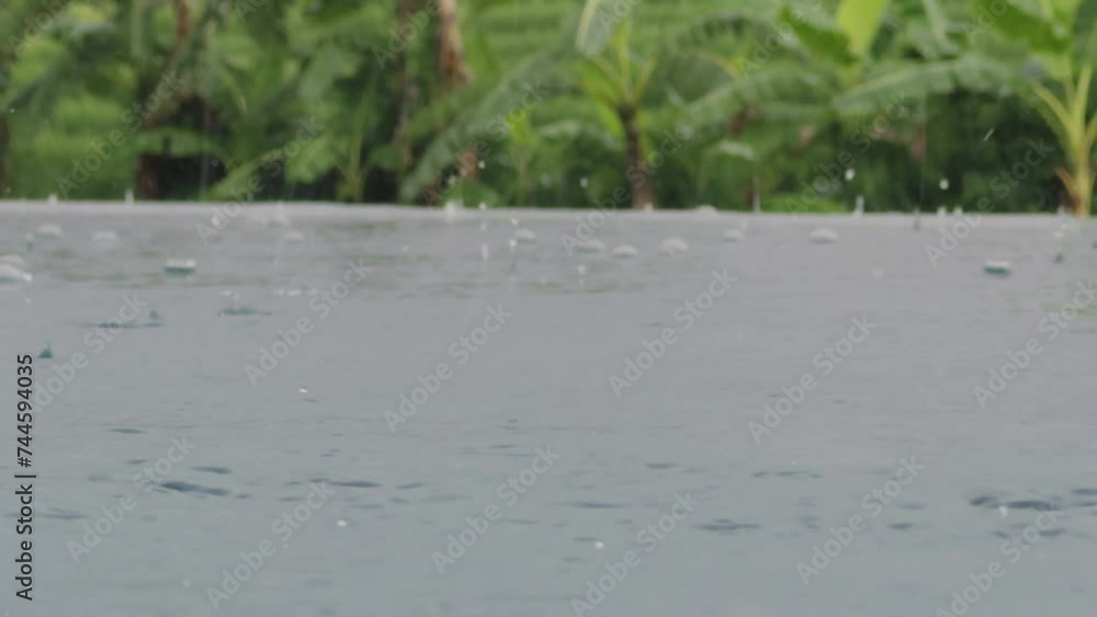 Rain in tropical forest, open infinity pool and jungles, concept of tranquility Rain in tropical forest, open infinity pool and jungles, concept of tranquility