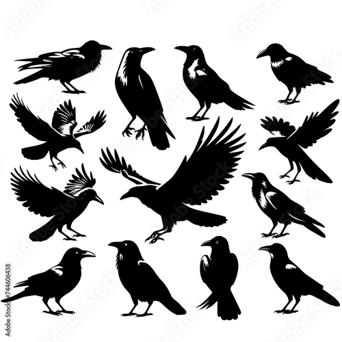 silhouettes set of crow