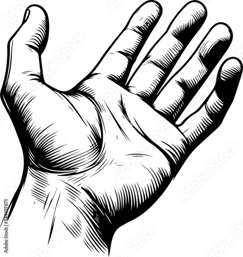 sketch hand reaching forward. closeup hand man grabbed ominously stretching black outline vector illustration